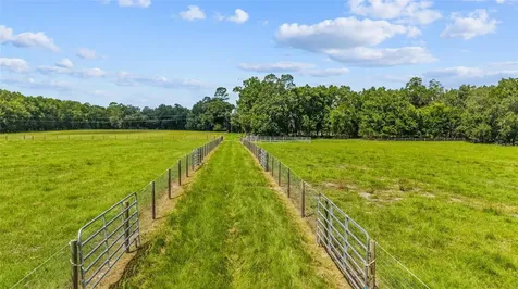 Tbd SE 35th Street Morriston FL 32668
