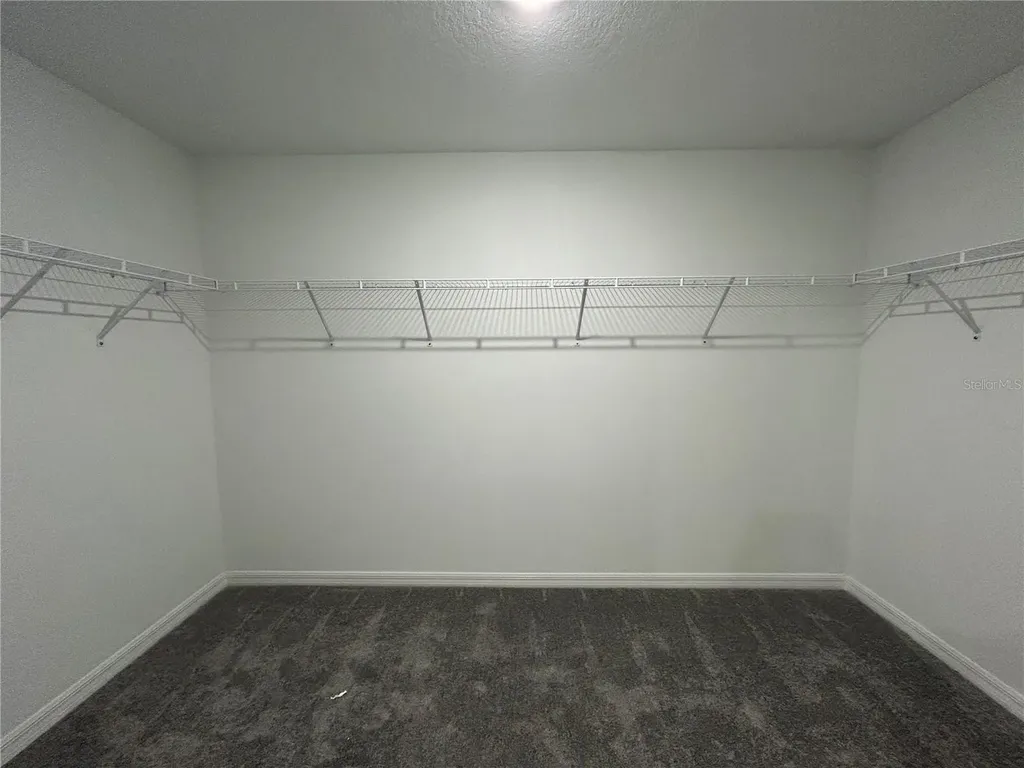 13095 Calcite Blue Avenue Wimauma FL 33598