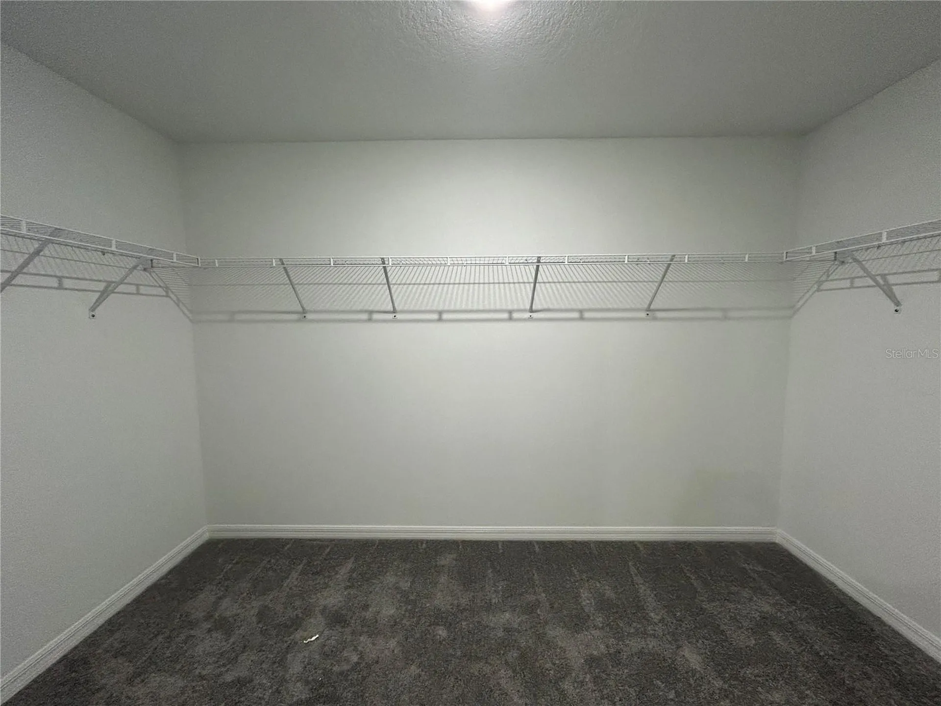 13095 Calcite Blue Avenue Wimauma FL 33598