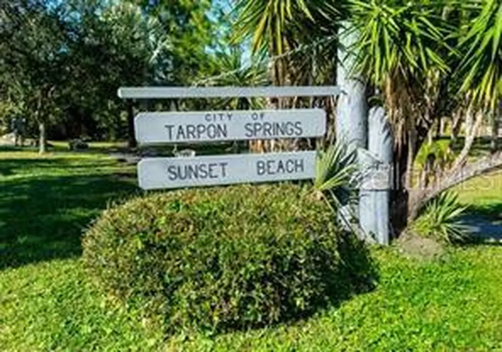 1250 S Pinellas Avenue Tarpon Springs FL 34689