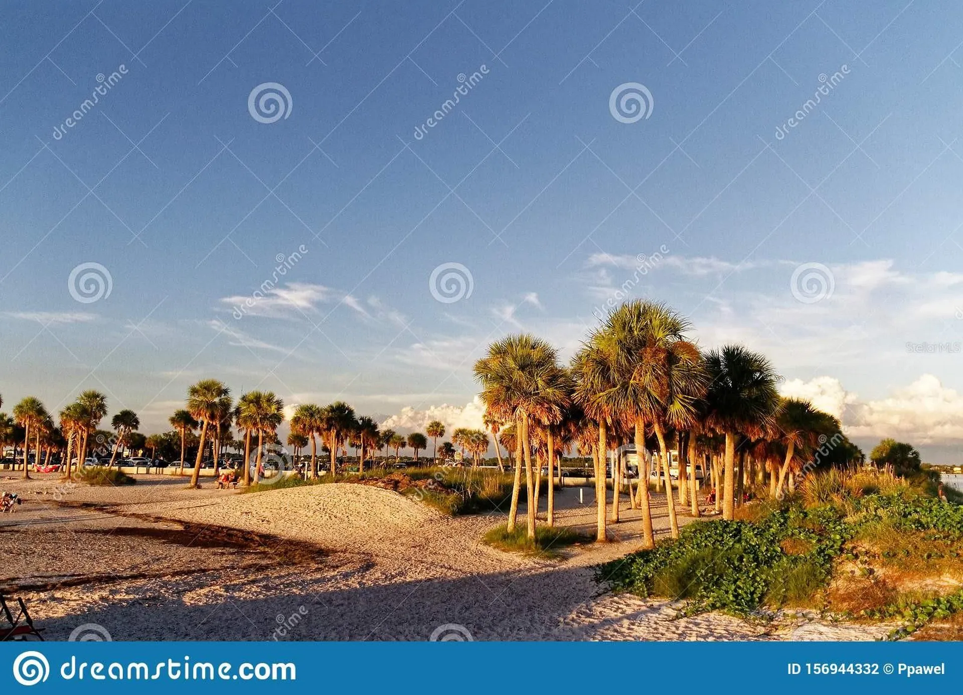 1250 S Pinellas Avenue Tarpon Springs FL 34689
