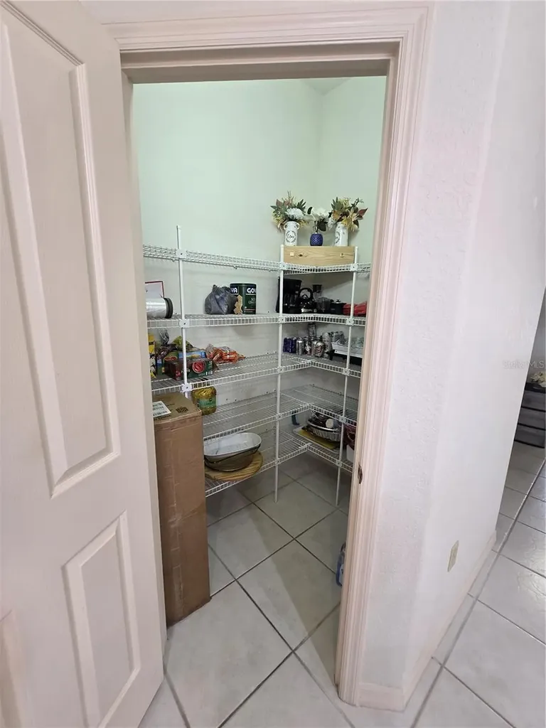 1030 Rowland Pickert Lane Lutz FL 33548