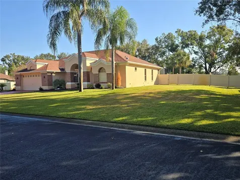 1030 Rowland Pickert Lane Lutz FL 33548