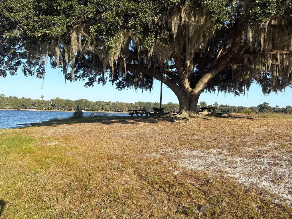 Tbd NE 132nd Street Salt Springs FL 32134