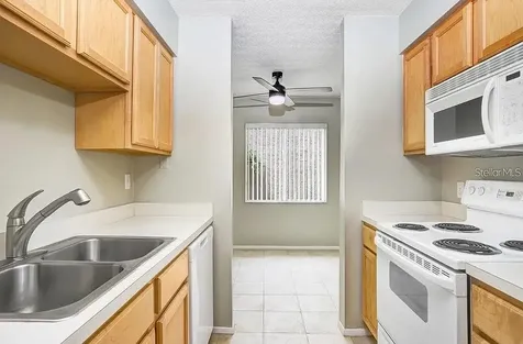 7506 Presley Place Tampa FL 33617