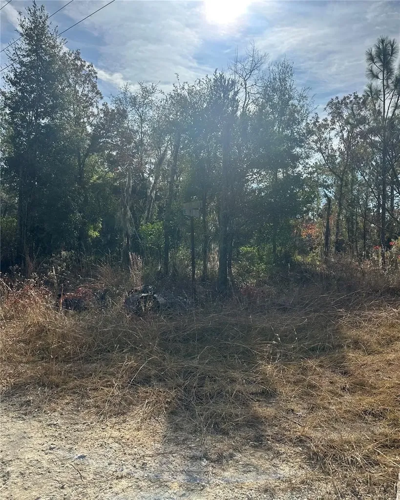 Lot 2 NE 151st Terrace Williston FL 32696