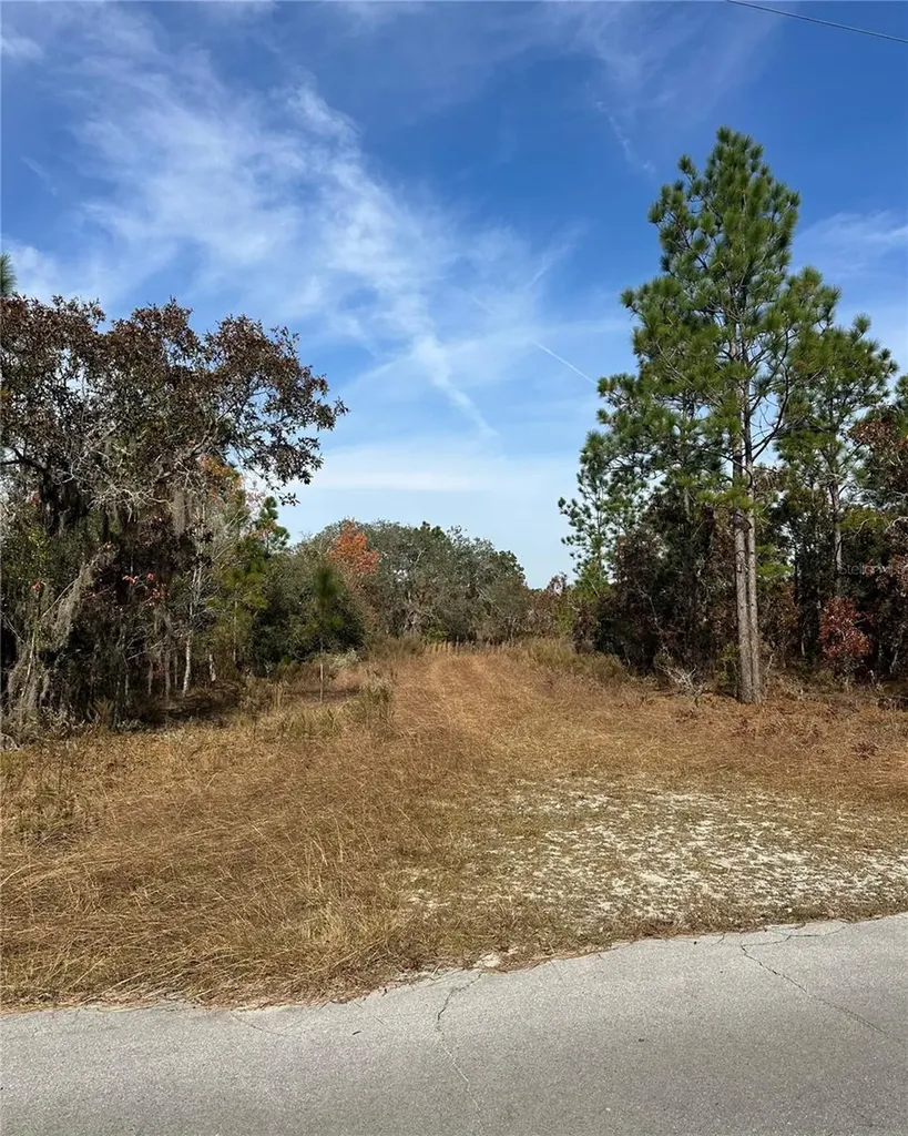 Lot 2 NE 151st Terrace Williston FL 32696