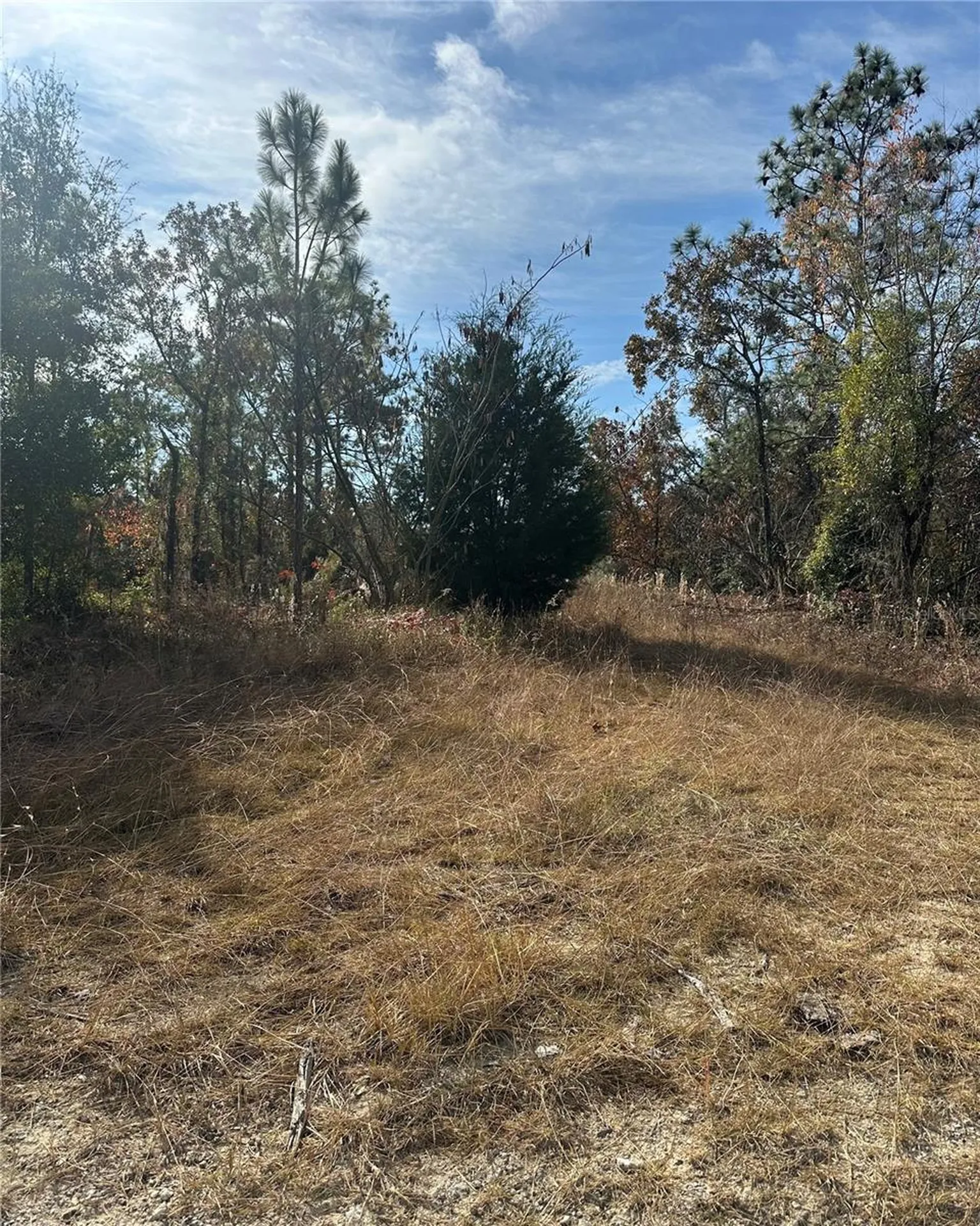 Lot 2 NE 151st Terrace Williston FL 32696