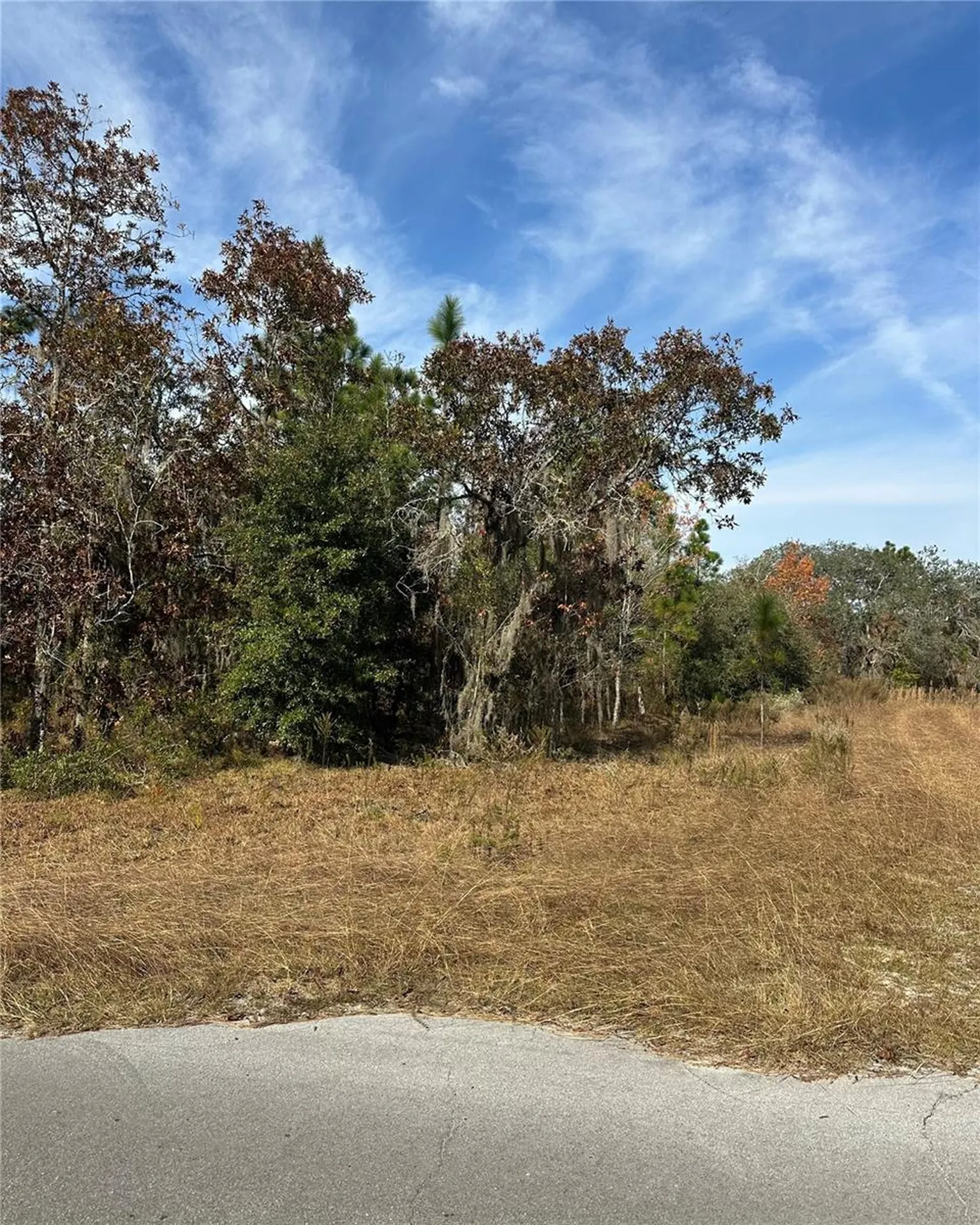 Lot 2 NE 151st Terrace Williston FL 32696