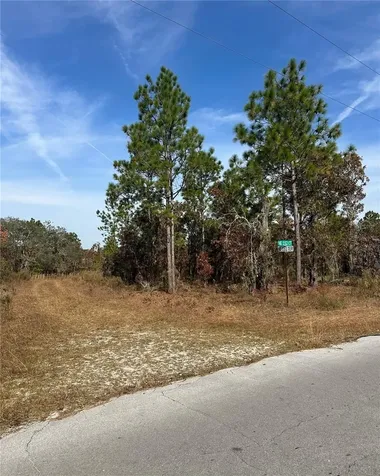 Lot 2 NE 151st Terrace Williston FL 32696