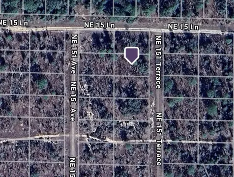 Lot 2 NE 151st Terrace Williston FL 32696