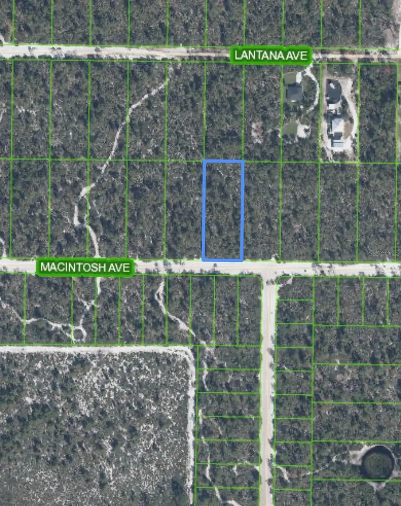 2132 Macintosh Avenue Sebring FL 33875