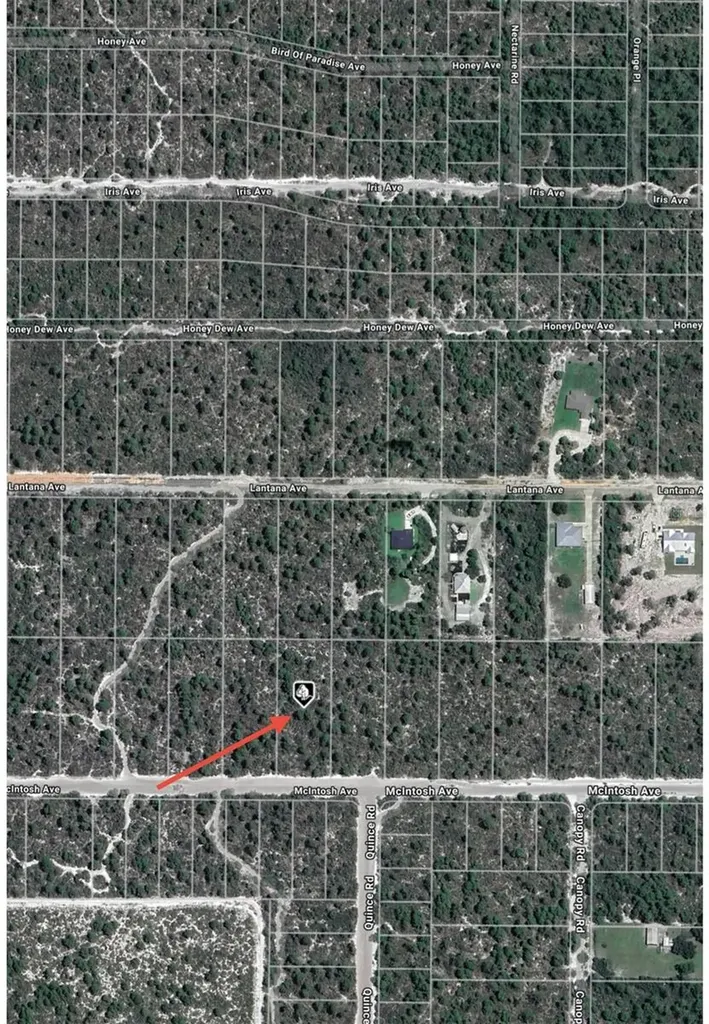 2132 Macintosh Avenue Sebring FL 33875