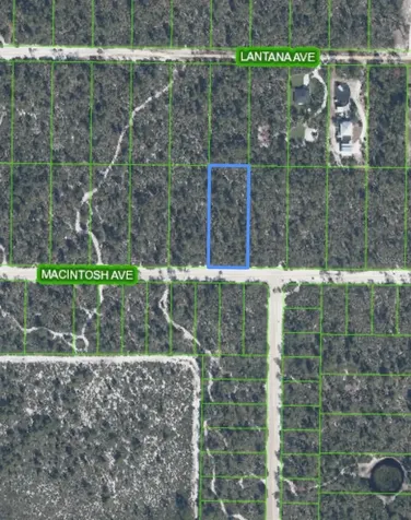 2132 Macintosh Avenue Sebring FL 33875