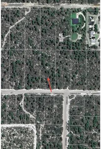 2132 Macintosh Avenue Sebring FL 33875