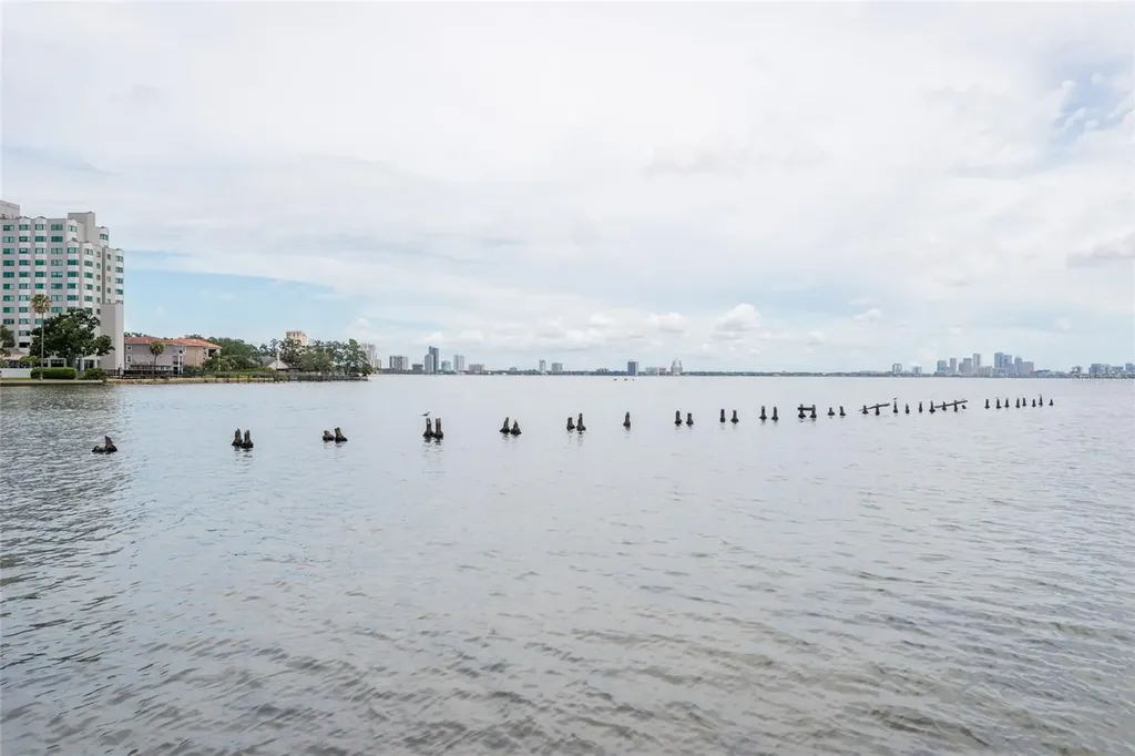 5020 Bayshore Boulevard Tampa FL 33611