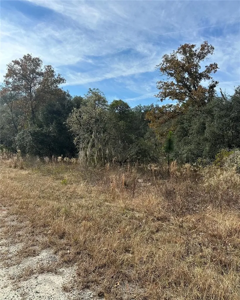 Lot 26 SE 133rd Avenue Dunnellon FL 34434