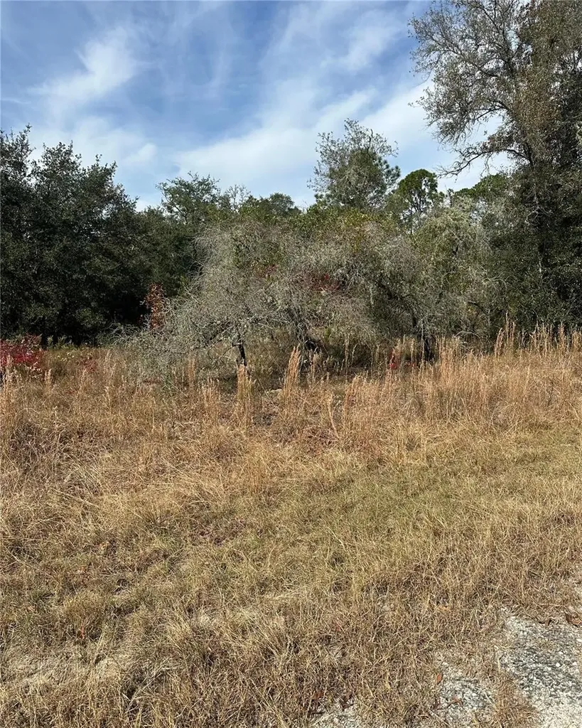 Lot 26 SE 133rd Avenue Dunnellon FL 34434