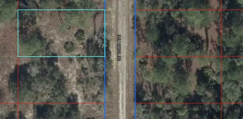 Lot 26 SE 133rd Avenue Dunnellon FL 34434