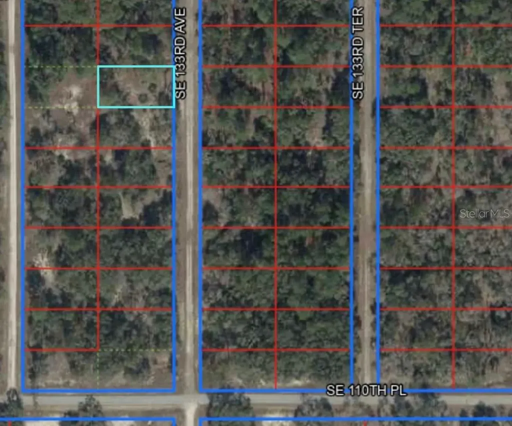 Lot 26 SE 133rd Avenue Dunnellon FL 34434