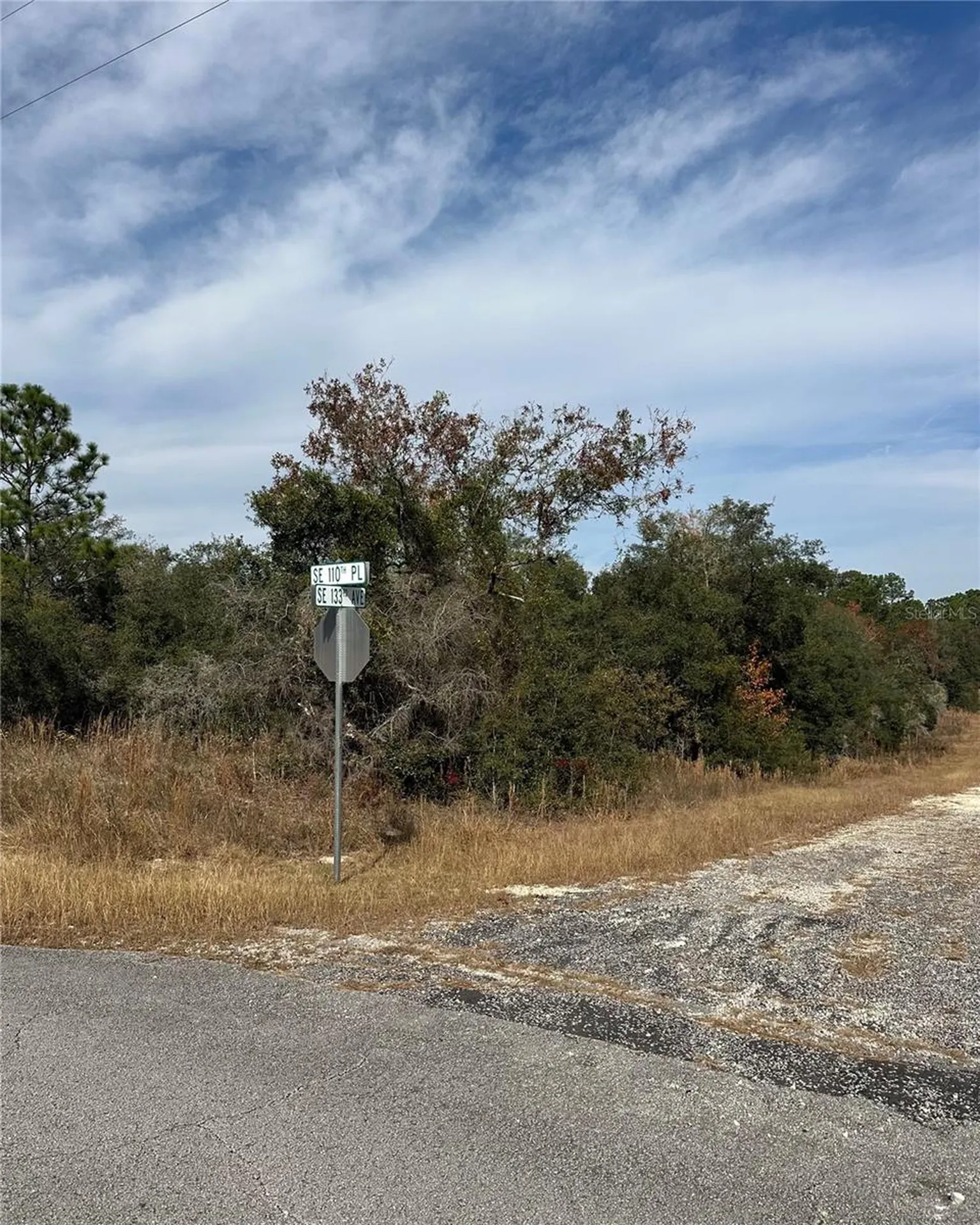 Lot 26 SE 133rd Avenue Dunnellon FL 34434