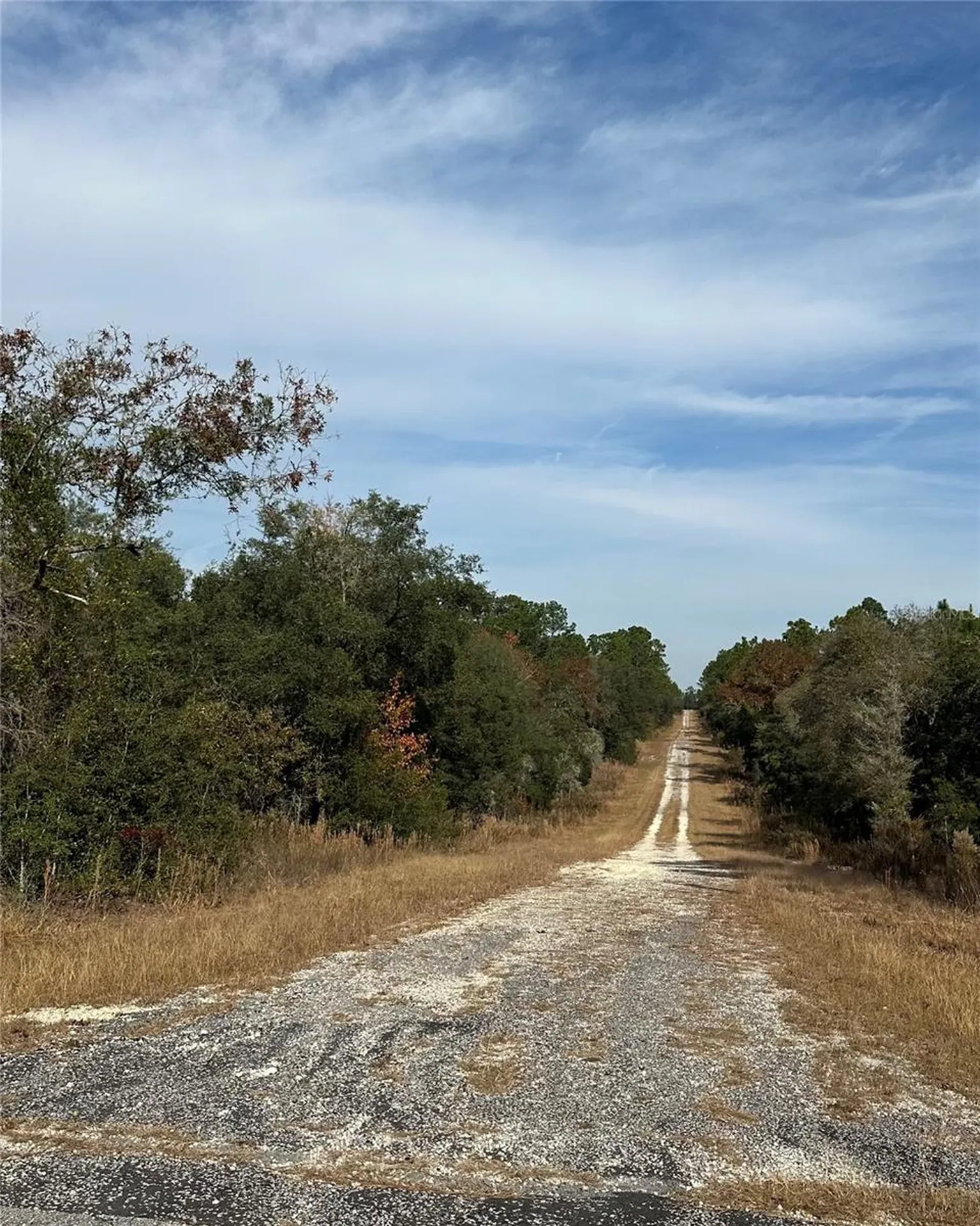 Lot 26 SE 133rd Avenue Dunnellon FL 34434