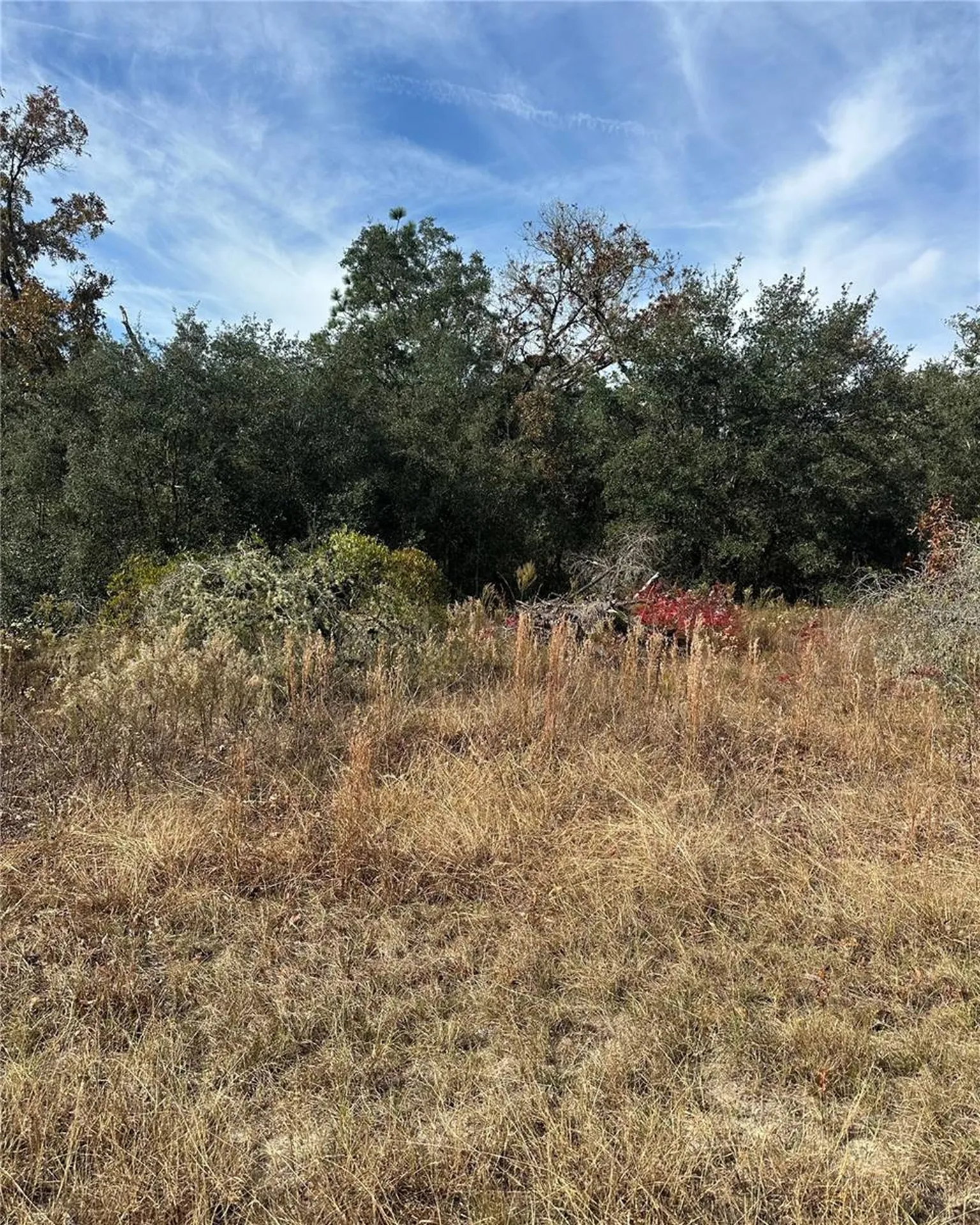 Lot 26 SE 133rd Avenue Dunnellon FL 34434