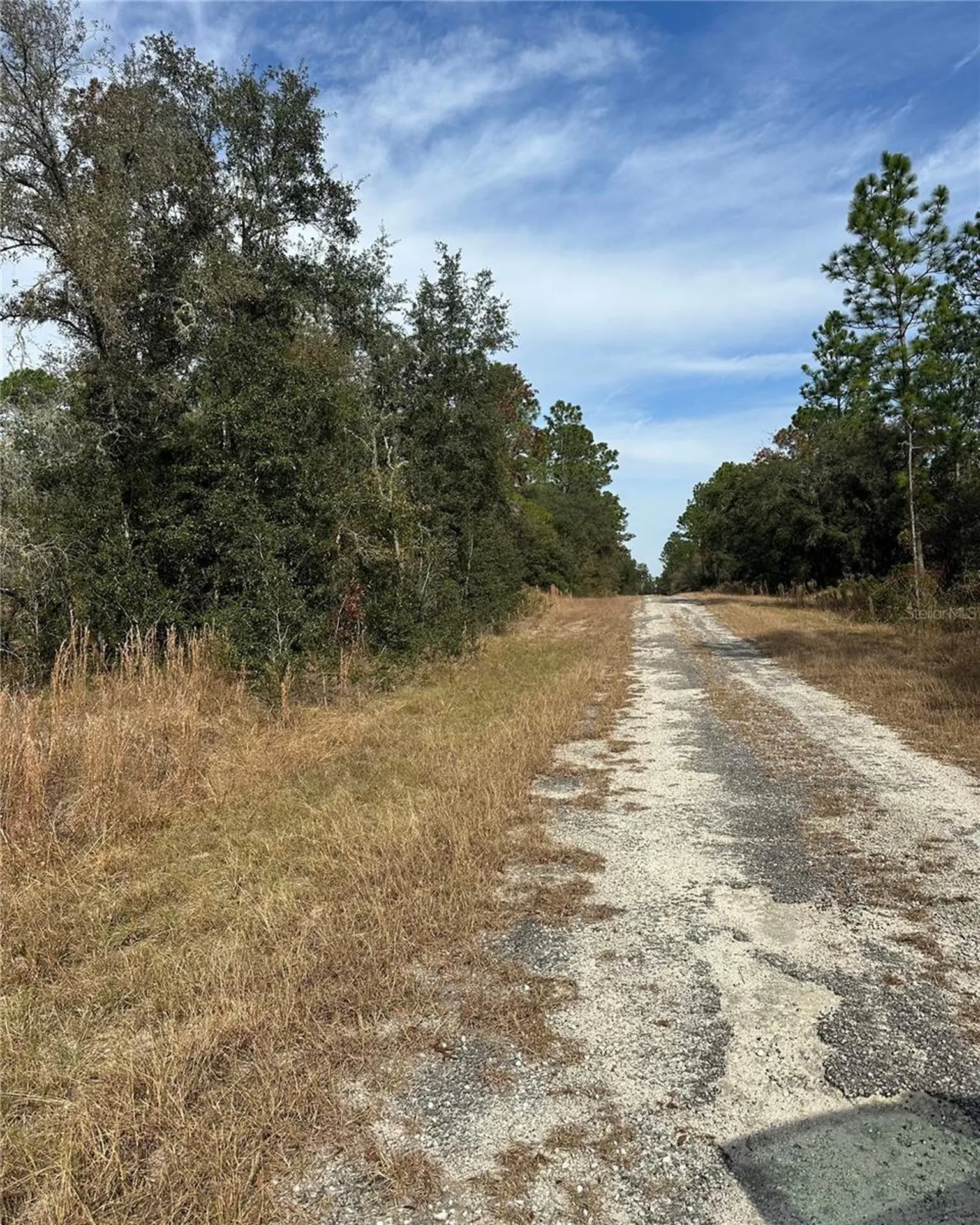 Lot 26 SE 133rd Avenue Dunnellon FL 34434