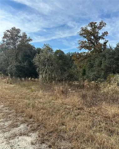 Lot 26 SE 133rd Avenue Dunnellon FL 34434