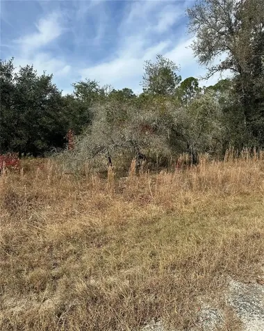 Lot 26 SE 133rd Avenue Dunnellon FL 34434