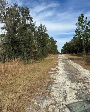 Lot 26 SE 133rd Avenue Dunnellon FL 34434