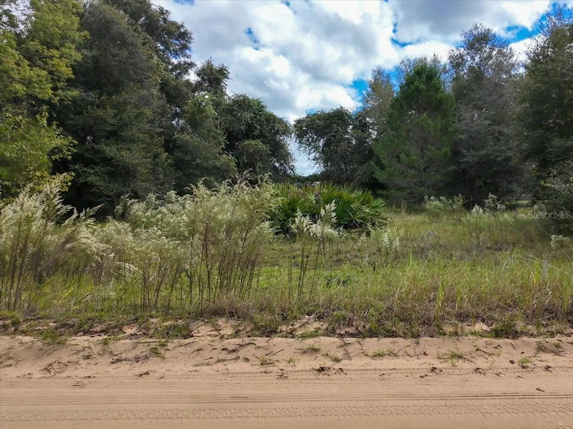 208 N Helmers Avenue Interlachen FL 32148