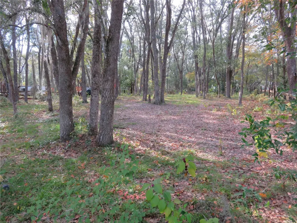 240 SE 165th Court Road Silver Springs FL 34488