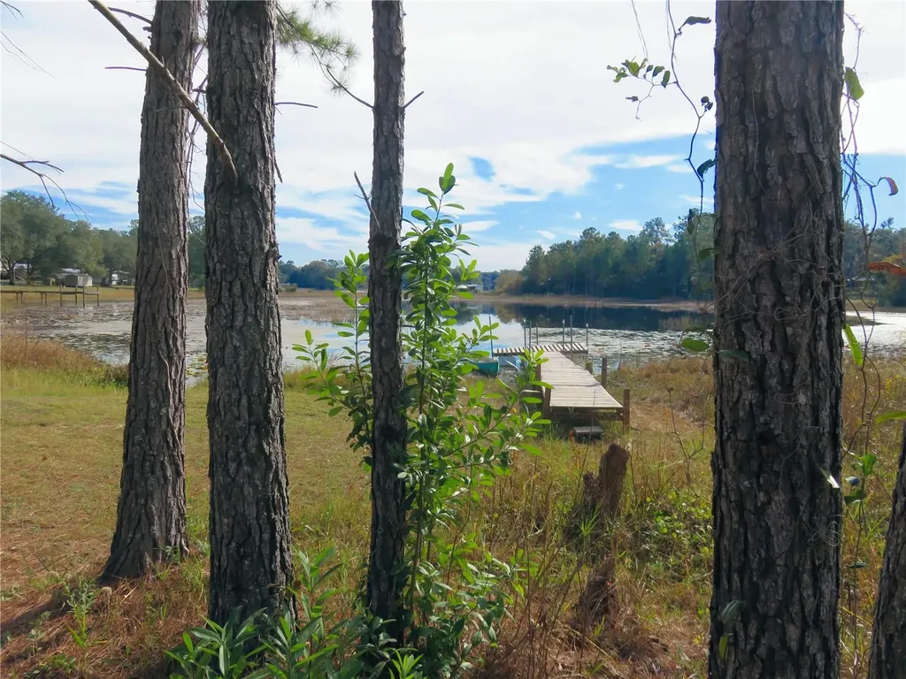 240 SE 165th Court Road Silver Springs FL 34488