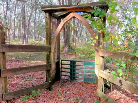 240 SE 165th Court Road Silver Springs FL 34488