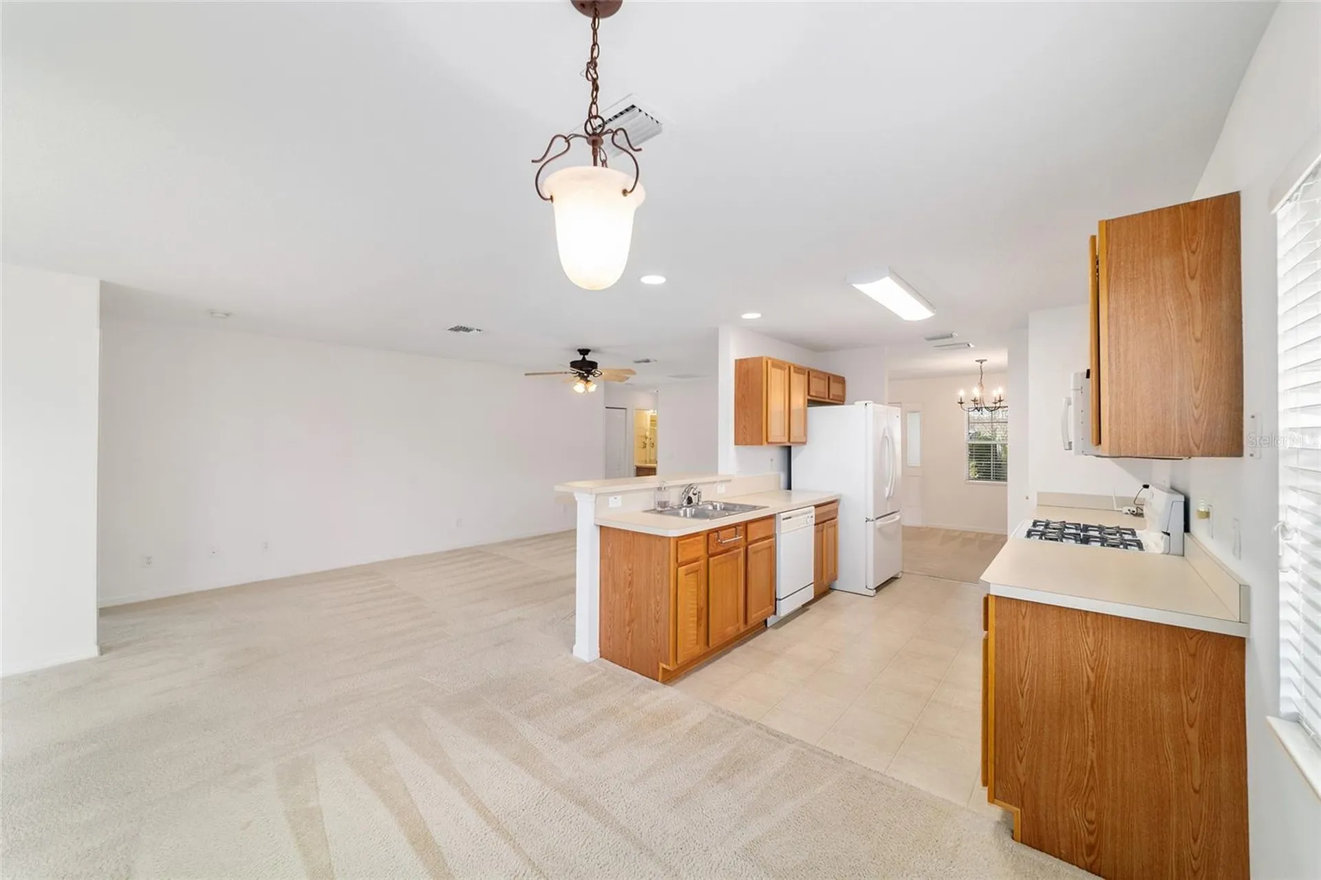 9150 SW 102nd Circle Ocala FL 34481