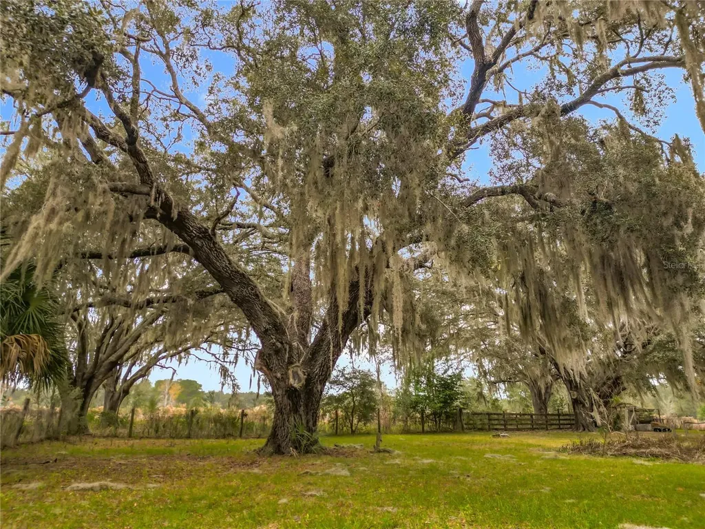 12521 SW Highway 484 Dunnellon FL 34432