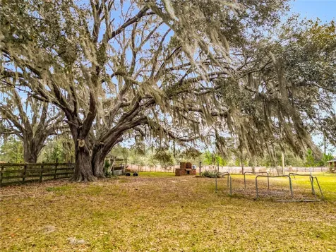 12521 SW Highway 484 Dunnellon FL 34432
