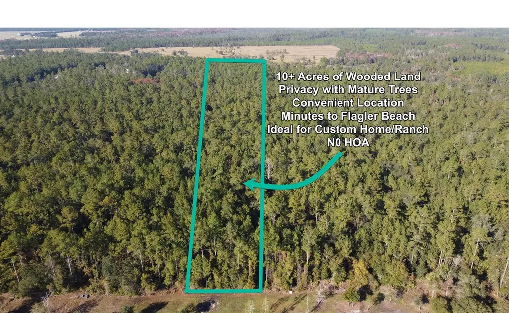 4619 State Highway 100 W Bunnell FL 32110