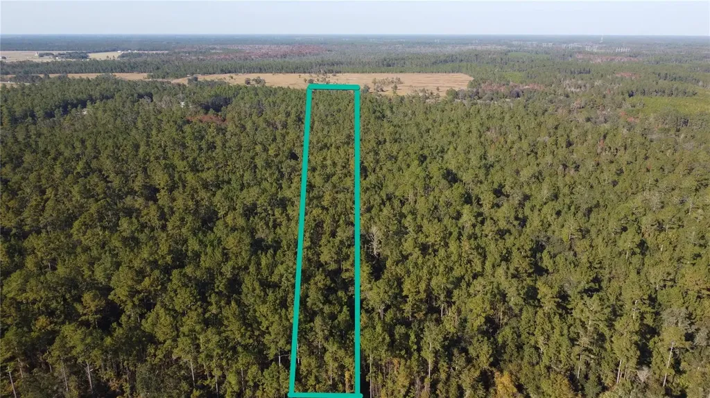 4619 State Hwy 100 W Bunnell FL 32110