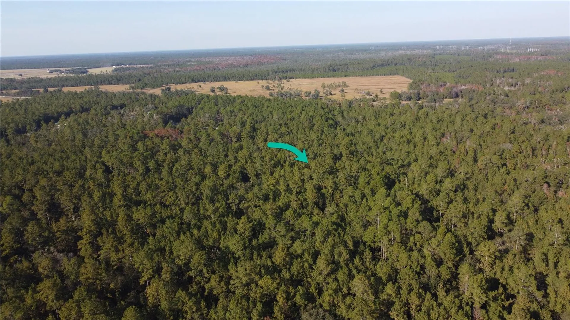 4619 State Highway 100 W Bunnell FL 32110