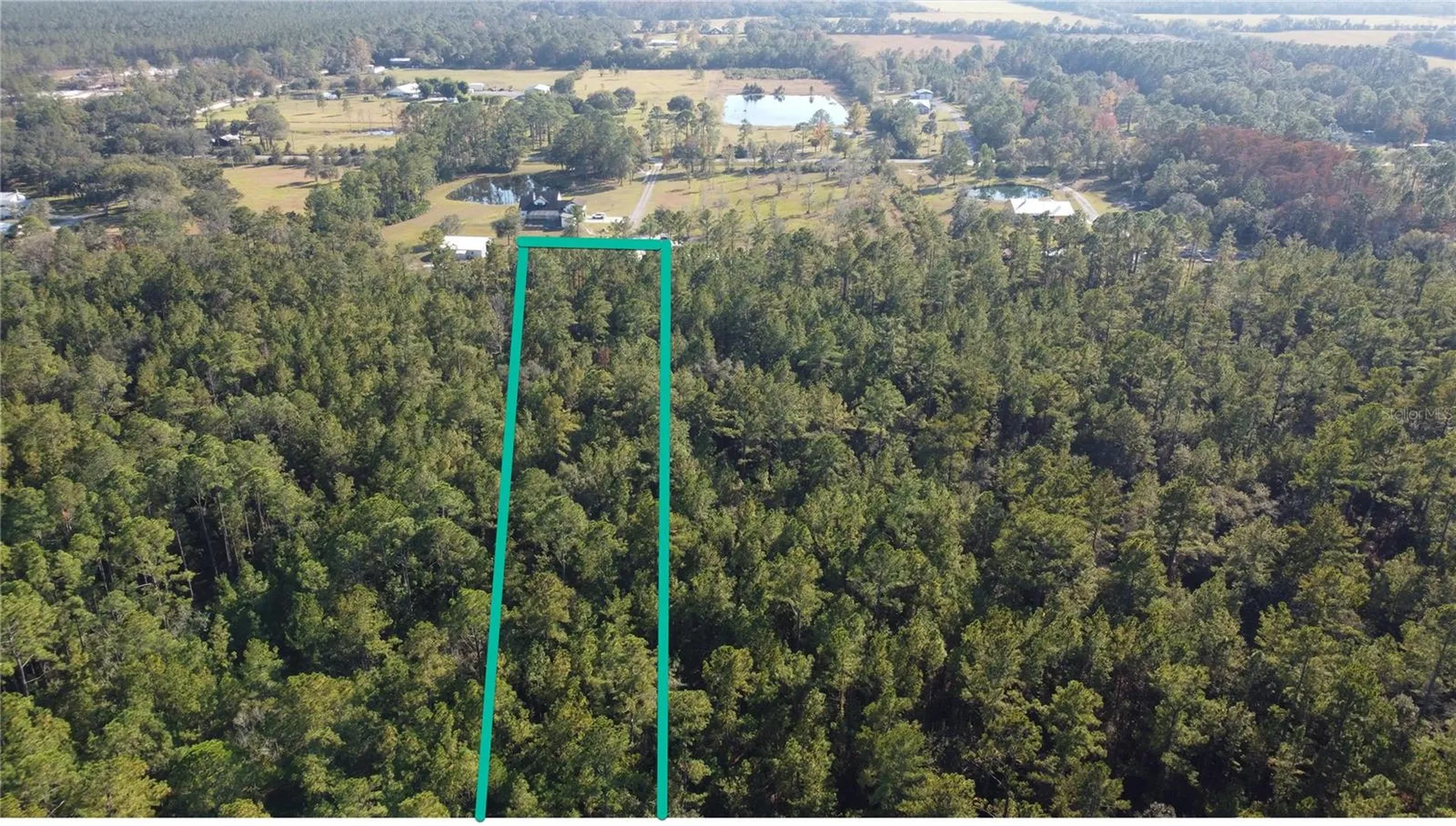 4619 State Highway 100 W Bunnell FL 32110