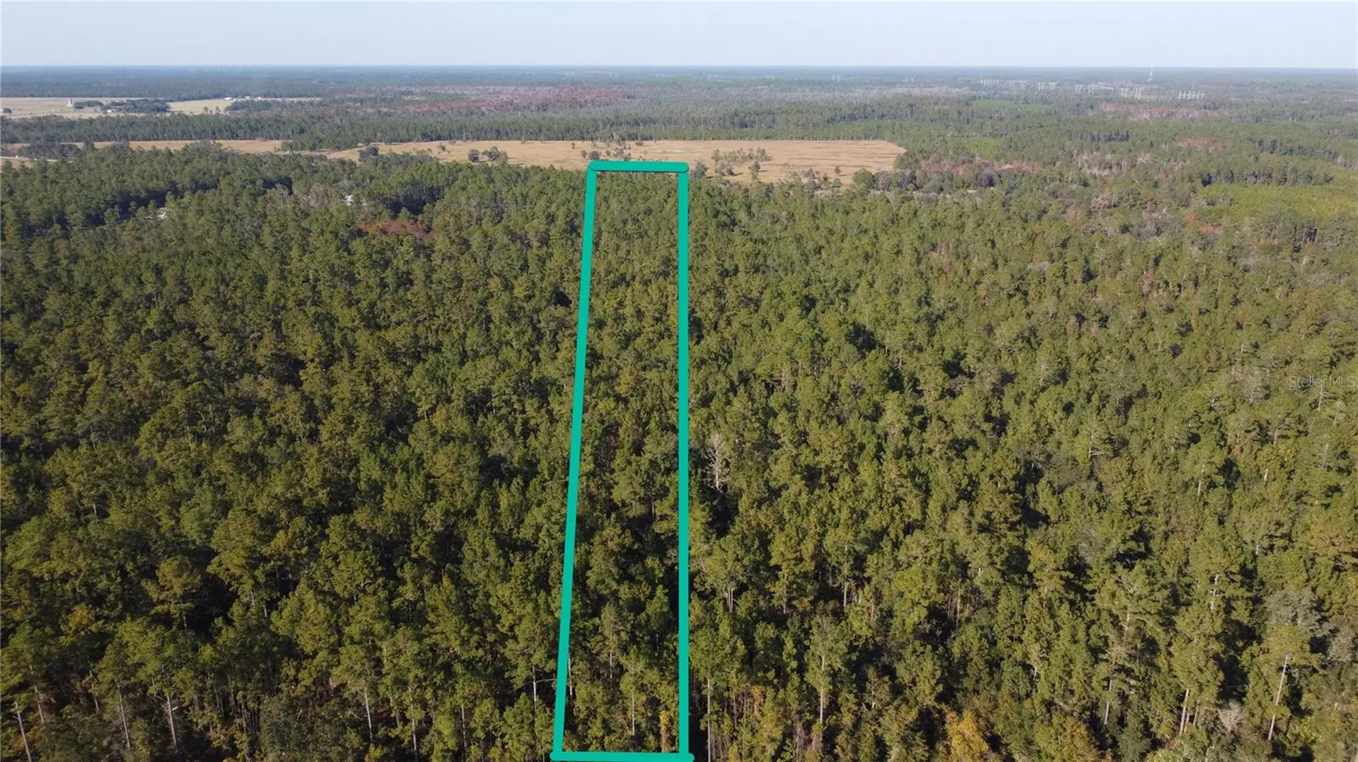 4619 State Hwy 100 W Bunnell FL 32110