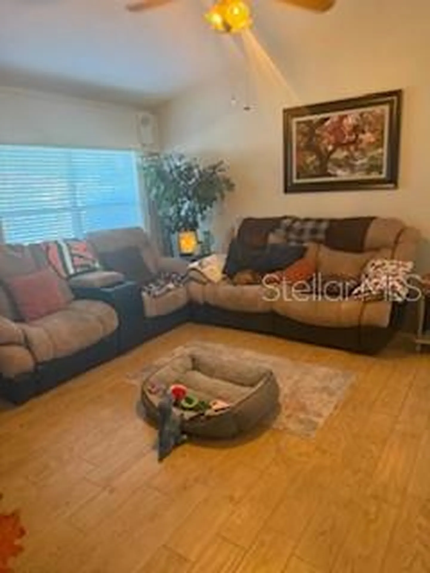 65 Allworthy Street Port Charlotte FL 33954