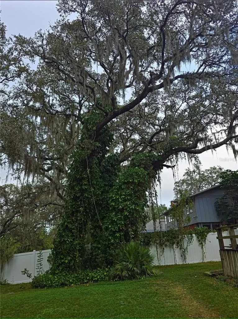 34041 Highland Road Leesburg FL 34788