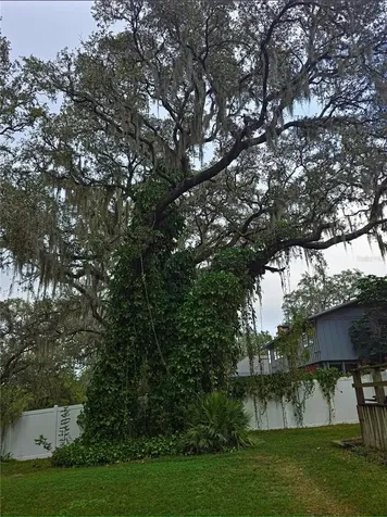 34041 Highland Road Leesburg FL 34788