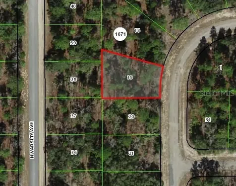 1947 W Skyline Drive Citrus Springs FL 34434