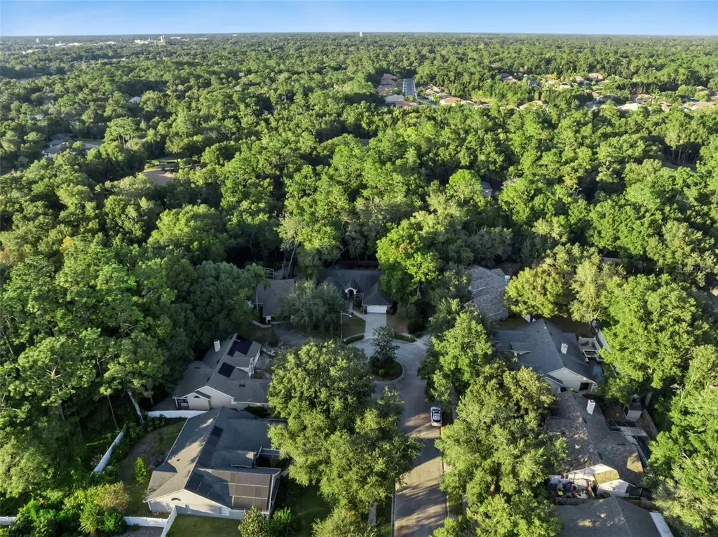 720 Swaying Pine Way Deland FL 32724