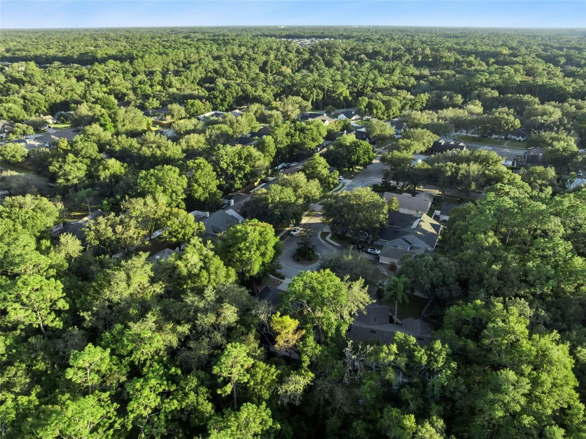 720 Swaying Pine Way Deland FL 32724