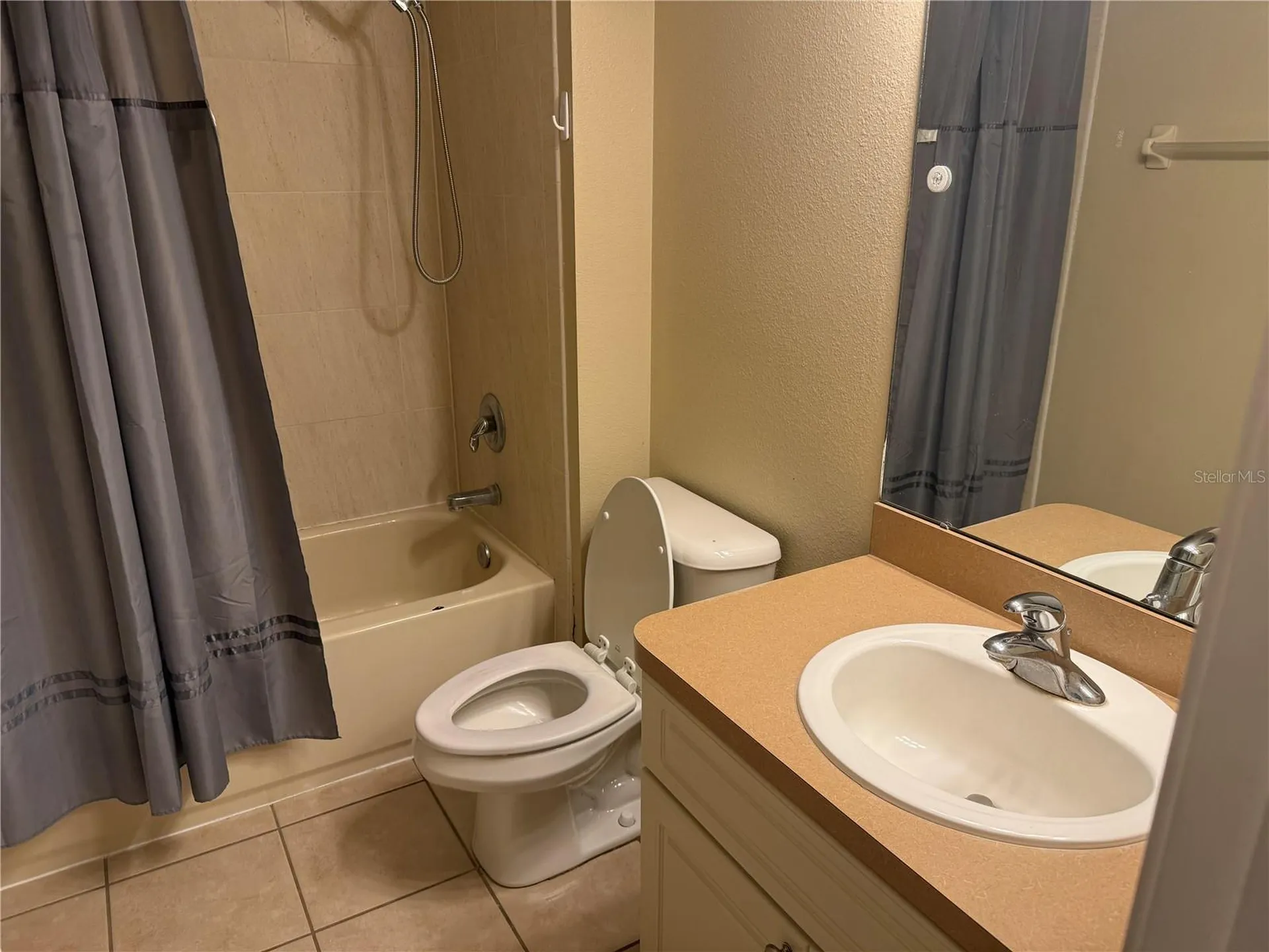 6509 Bridgecrest Drive Lithia FL 33547